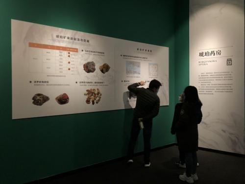 The largest amber exhibition in China 